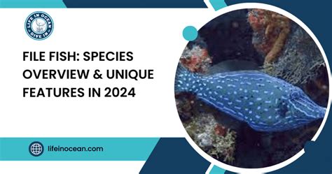 fish site|Species overview .
